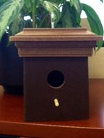 bird house 1 (2)